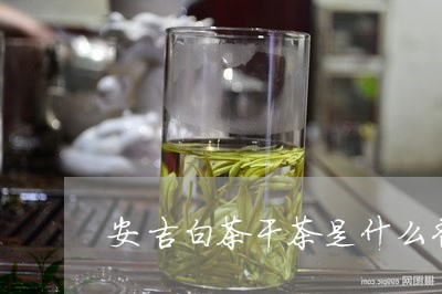 安吉白茶干茶是什么香/2023092984178