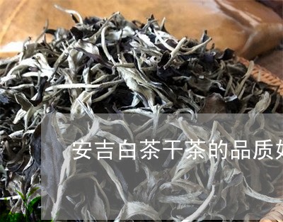 安吉白茶干茶的品质好坏/2023101705057