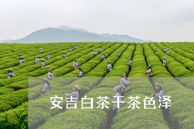 安吉白茶干茶色泽/2023061965058