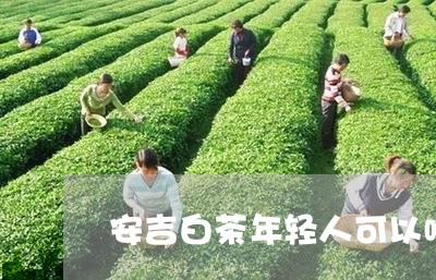 安吉白茶年轻人可以喝吗/2023101703046