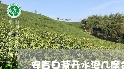 安吉白茶开水泡几度合适/2023101730270