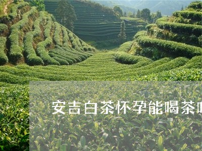 安吉白茶怀孕能喝茶叶/2023092991691