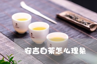 安吉白茶怎么理条/2023061860572