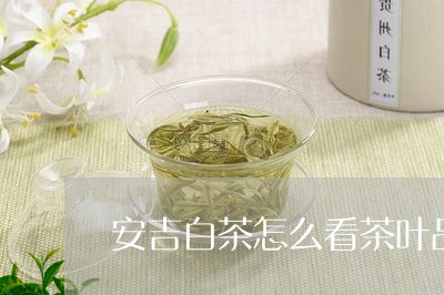 安吉白茶怎么看茶叶品质/2023101781736