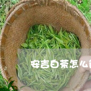 安吉白茶怎么辨别菩提子/2023101787472