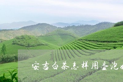 安吉白茶怎样用壶泡好/2023092997291