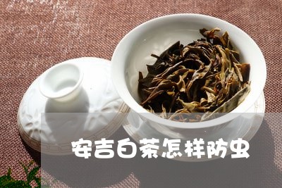 安吉白茶怎样防虫/2023061812730