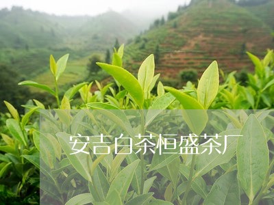 安吉白茶恒盛茶厂/2023061821838