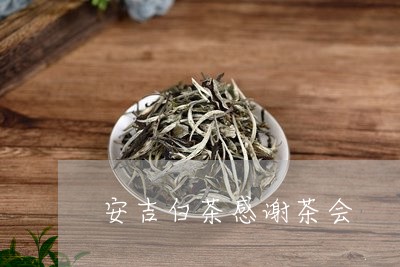 安吉白茶感谢茶会/2023061829262