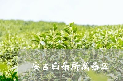 安吉白茶所属茶区/2023061851614