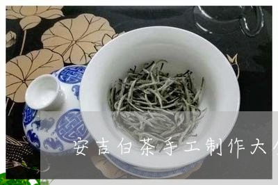 安吉白茶手工制作大全/2023092960460