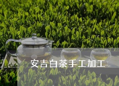 安吉白茶手工加工/2023061843936