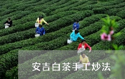 安吉白茶手工炒法/2023061886049