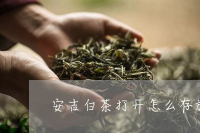 安吉白茶打开怎么存放/2023092926947