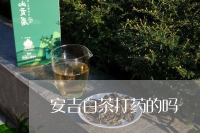 安吉白茶打药的吗/2023061884248