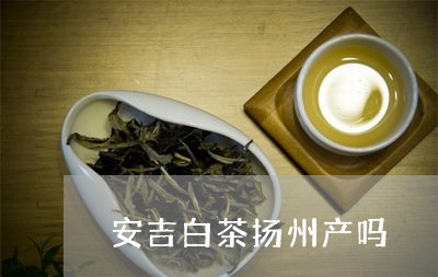 安吉白茶扬州产吗/2023061863726