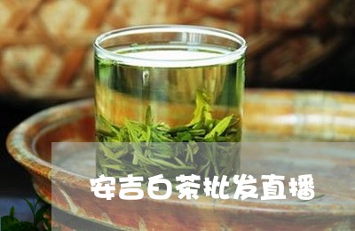 安吉白茶批发直播/2023061857270