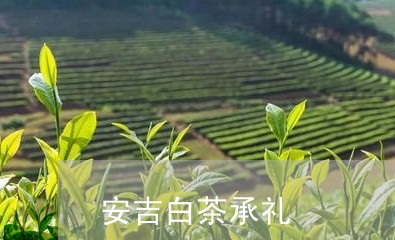 安吉白茶承礼/2023051525047