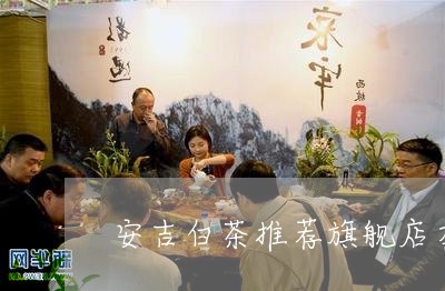 安吉白茶推荐旗舰店在哪/2023101714048