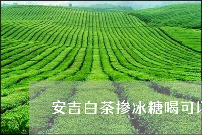 安吉白茶掺冰糖喝可以么/2023101704029