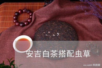 安吉白茶搭配虫草/2023061887362