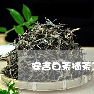 安吉白茶摘茶工艺流程图/2023101760592