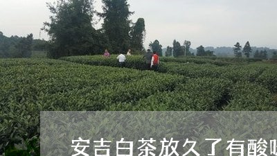 安吉白茶放久了有酸味吗/2023101738471