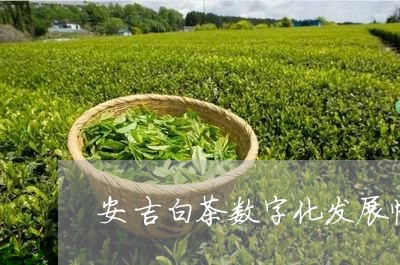 安吉白茶数字化发展情况/2023101734939