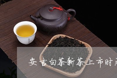 安吉白茶新茶上市时间/2023092975258