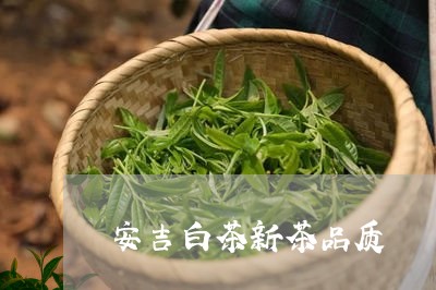 安吉白茶新茶品质/2023061850515