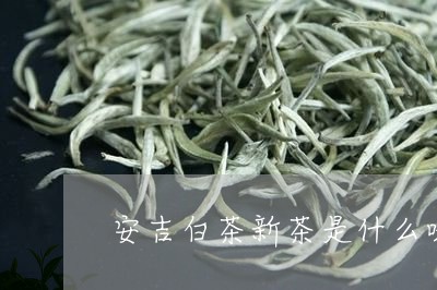 安吉白茶新茶是什么味道/2023101752626