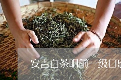 安吉白茶明前一级口感/2023092993839