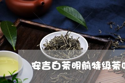 安吉白茶明前特级茶叶/2023092995173