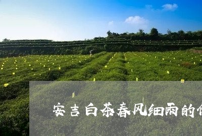 安吉白茶春风细雨的价格/2023101752827