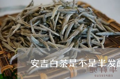 安吉白茶是不是半发酵/2023092975059