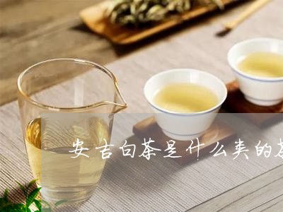 安吉白茶是什么类的茶树/2023101747271