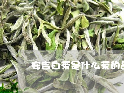 安吉白茶是什么茶的品种/2023101749181