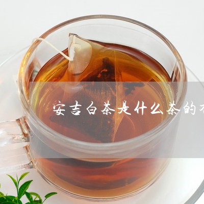 安吉白茶是什么茶的香味/2023101740504