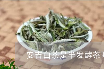 安吉白茶是半发酵茶吗/2023092958471