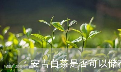 安吉白茶是否可以储存/2023092916380