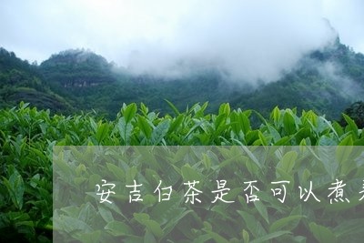 安吉白茶是否可以煮着喝/2023101707581