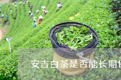 安吉白茶是否能长期保存/2023101776361