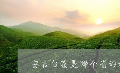 安吉白茶是哪个省的地方/2023101740713