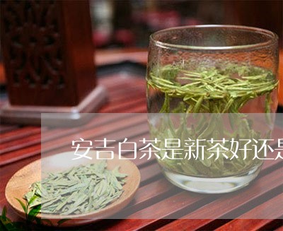 安吉白茶是新茶好还是老茶好喝呢/2023111477472