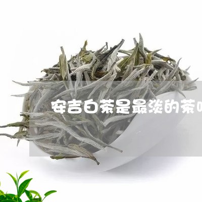 安吉白茶是最淡的茶吗/2023092919470