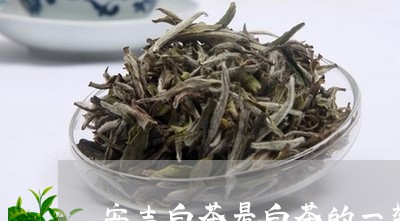 安吉白茶是白茶的一类吗/2023101790582