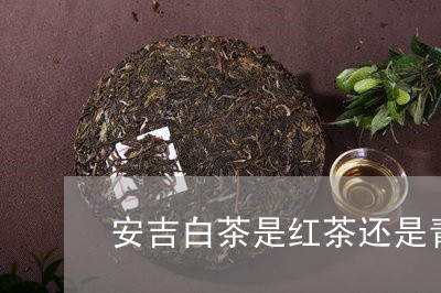 安吉白茶是红茶还是青茶/2023101741683