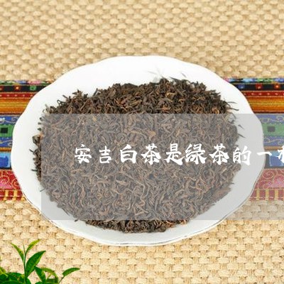 安吉白茶是绿茶的一种/2023092956573