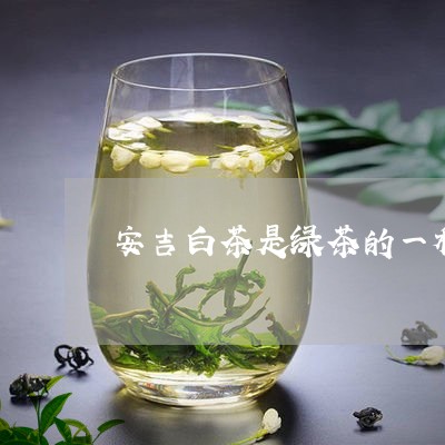 安吉白茶是绿茶的一种吗/2023101760603