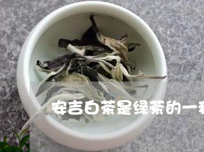 安吉白茶是绿茶的一种吗还是红茶/2023111474148